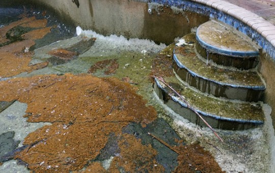 Commercial pool cleaning before and after